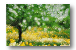 Ottawa in Spring