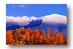 White Mountains - National Forest